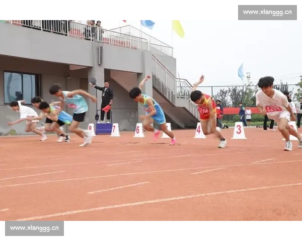 青春逐梦冰上赛场闪耀速度与激情的滑冰之旅